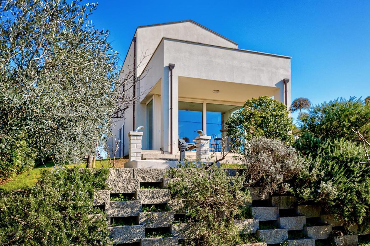 Villa Il Poggino - Modern House Foiano Della Chiana Bagian luar foto